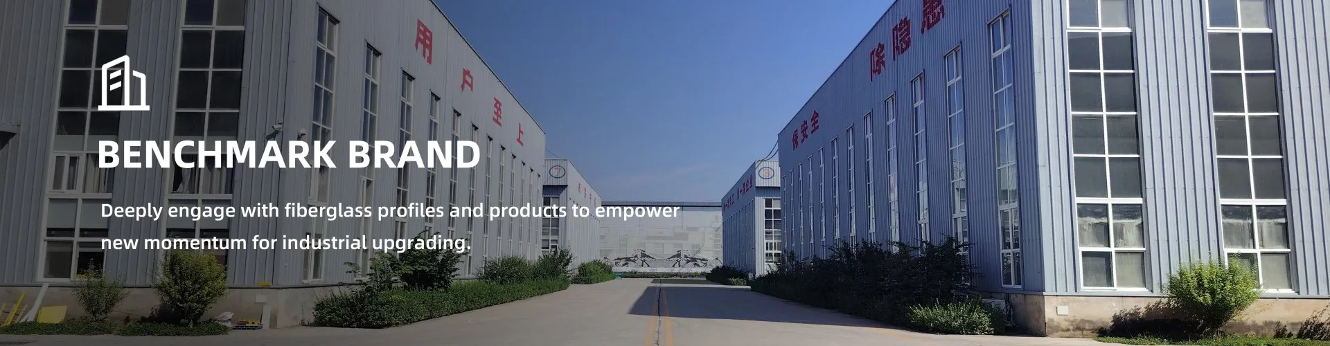 Company Profile